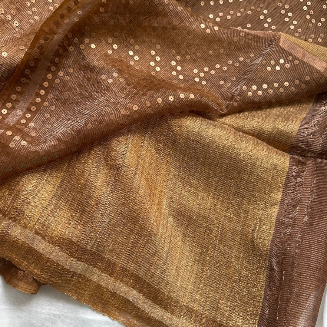 Chikku Tissue Muslin Silk Saree www.vayatistudio.com.