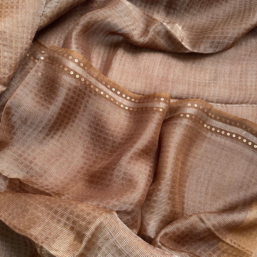 Chikku Tissue Muslin Silk Saree www.vayatistudio.com.