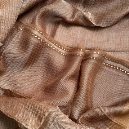 Chikku Tissue Muslin Silk Saree www.vayatistudio.com.