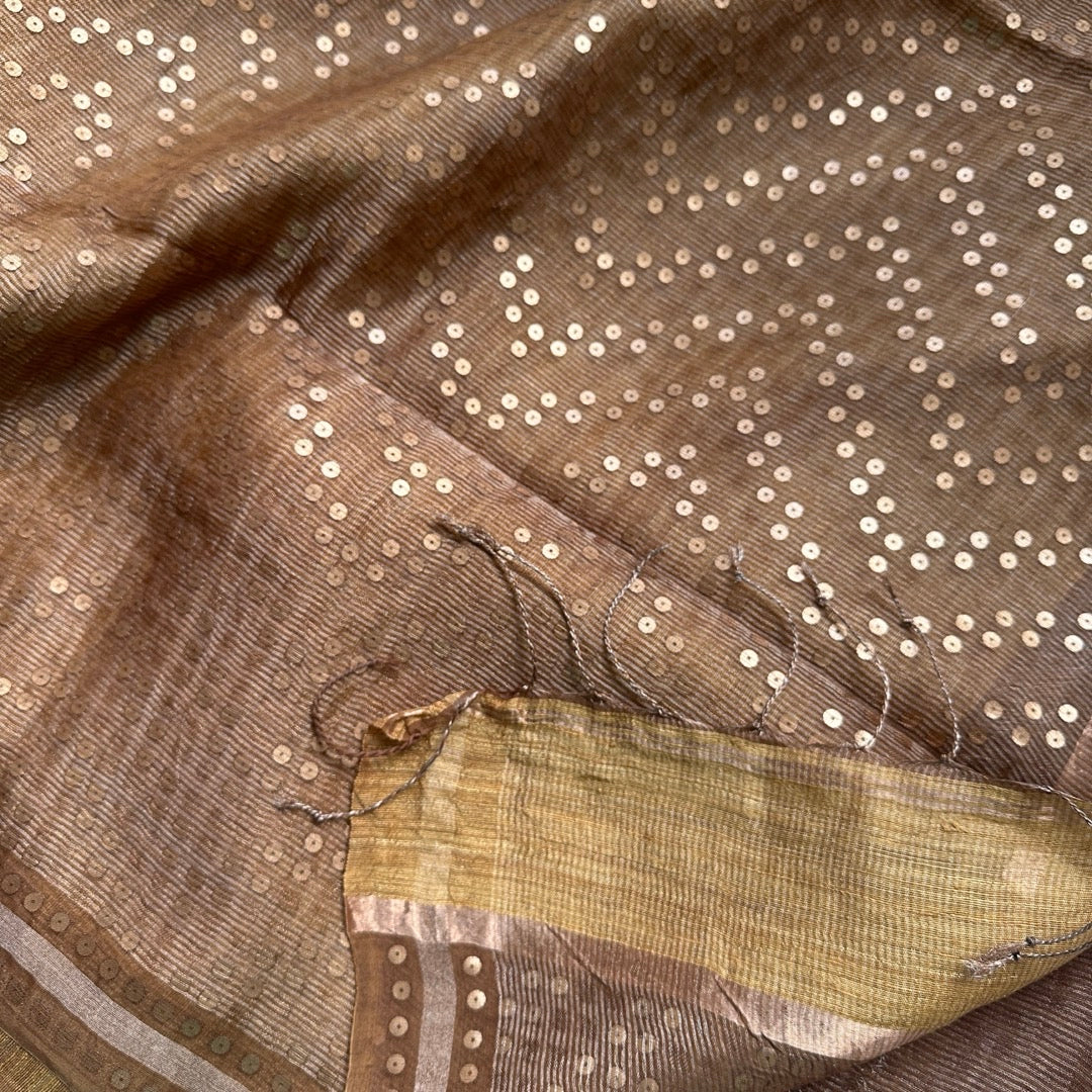 Chikku Tissue Muslin Silk Saree www.vayatistudio.com.