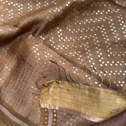 Chikku Tissue Muslin Silk Saree www.vayatistudio.com.