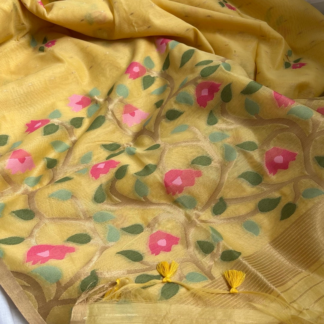 Yellow semi linen jamdhani saree tulip woven pallu open look